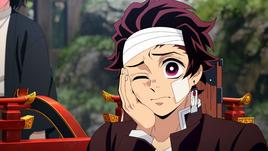 Demon Slayer Kimetsu No Yaiba Zum Training der Säulen Anime Tanjiro Kamado